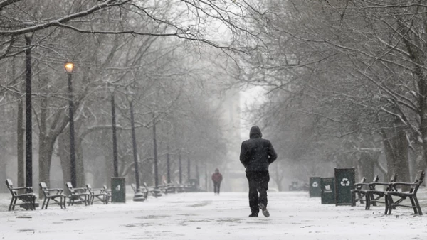Autoridades estadounidenses han clausurado varias vías debido a la cantidad de nieve. Un hombre camina en un parque de Albany, Nueva York.