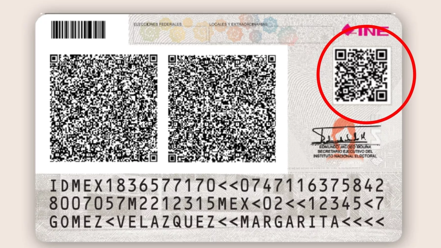 El código QR y otros datos del INE explicados. (La parte trasera de una credencial de elector).