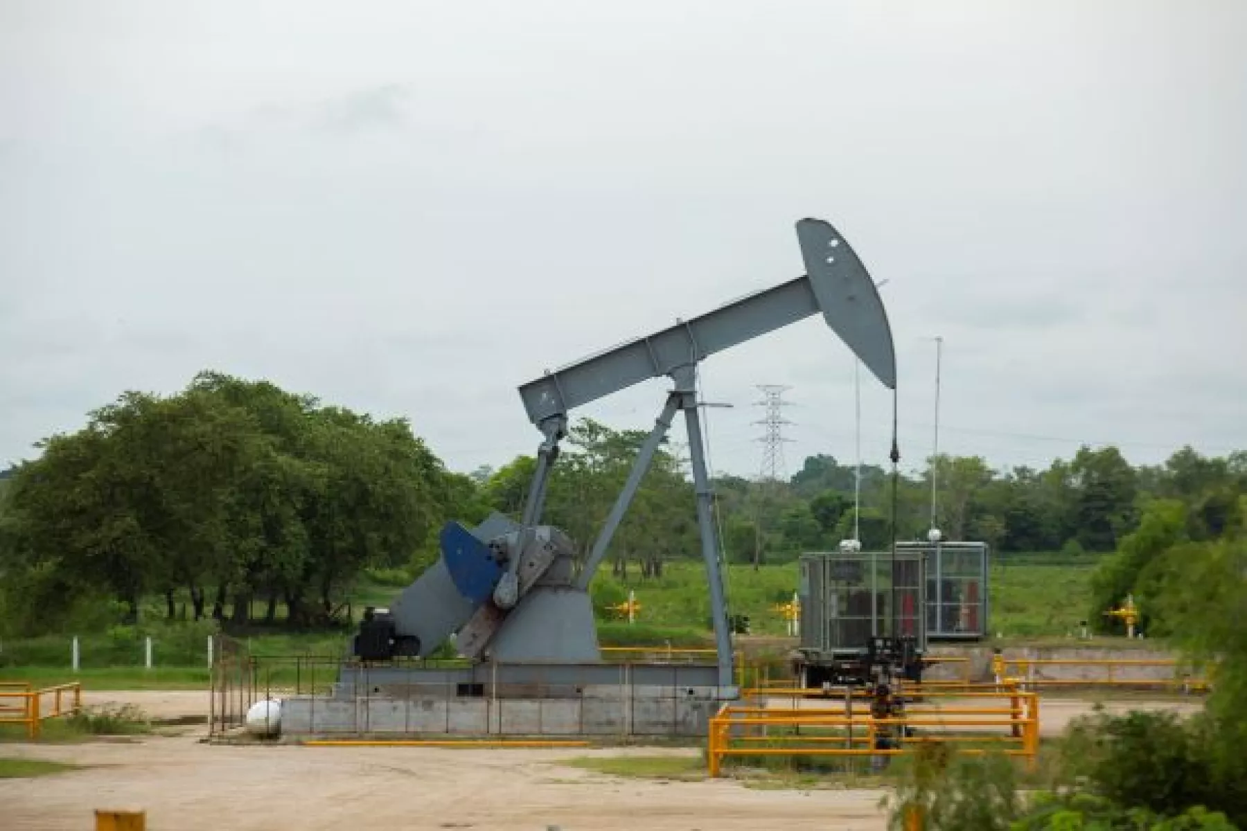 Petróleo