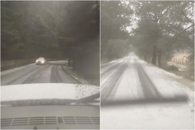 ajusco_nevada2022.jpeg