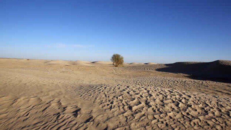Resultado de imagen de el desierto del Sahara. Nigeria se caracteriza por la existencia de