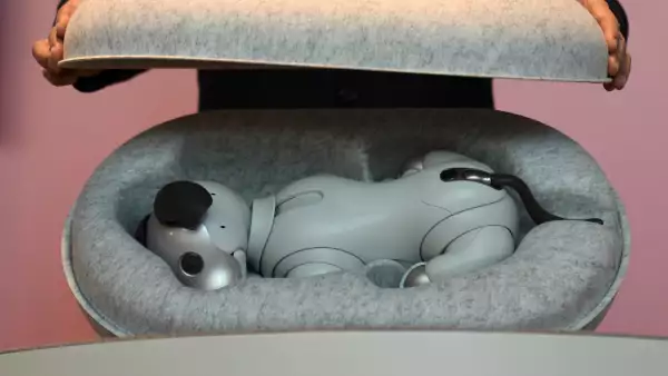 Aibo