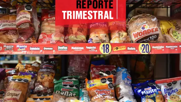 Bimbo-reportetrimestral-2022