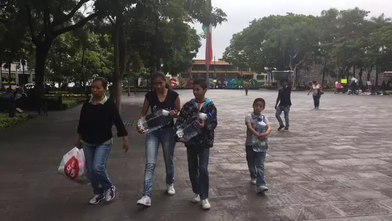 Contribución