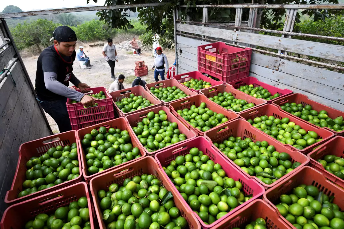 Los compradores priorizan la compra de productos básicos.