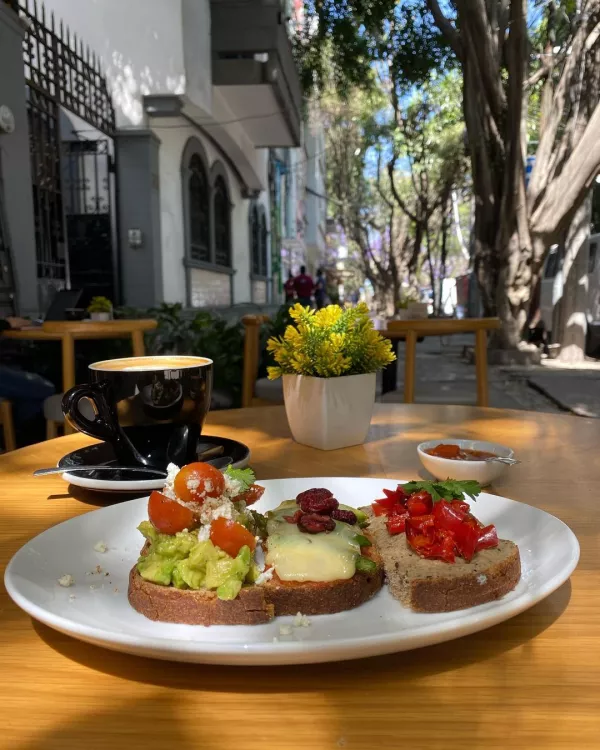 cafe-y-sandwiches-lunch-en-la-condesa
