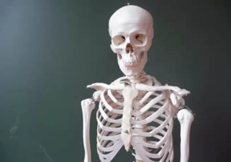 La osamenta humana se compone de 208 huesos.  (Foto: Especial)