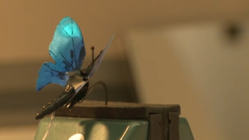 mariposa robot desarrollada por microsoft