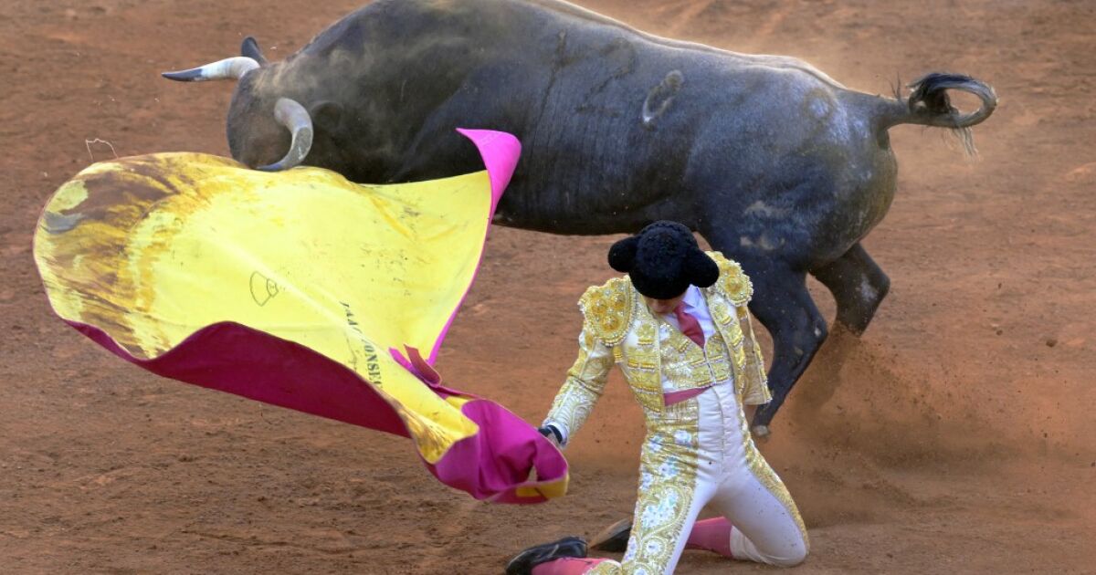 Girişimcileri ve aktivistleri bölen boğuşma reformu