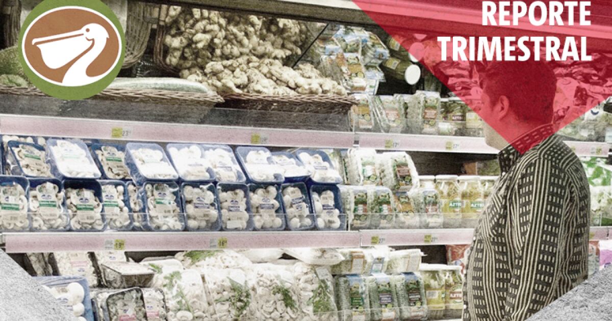 La Comer crece en ventas, pero su utilidad avanza apenas 1%

La Comer crece en ventas y mejora margen bruto, pero enfrenta una presión operativa que limita la expansión de utilidades.