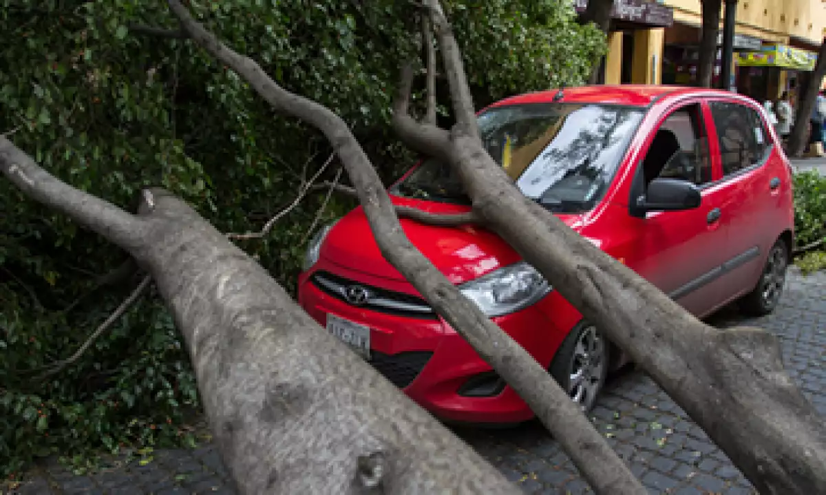 Si tu persona, auto y/o vivienda sufrieron algún daño a consecuencia del viento, podrías obtener una reparación. (Foto: Cuartoscuro)