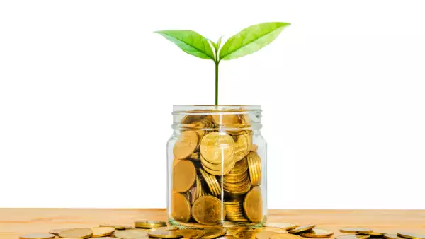 Una planta emerge de un bote con monedas.