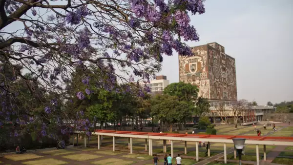 La UNAM comienza a tomar medidas para evitar el contragio de coronavirus
