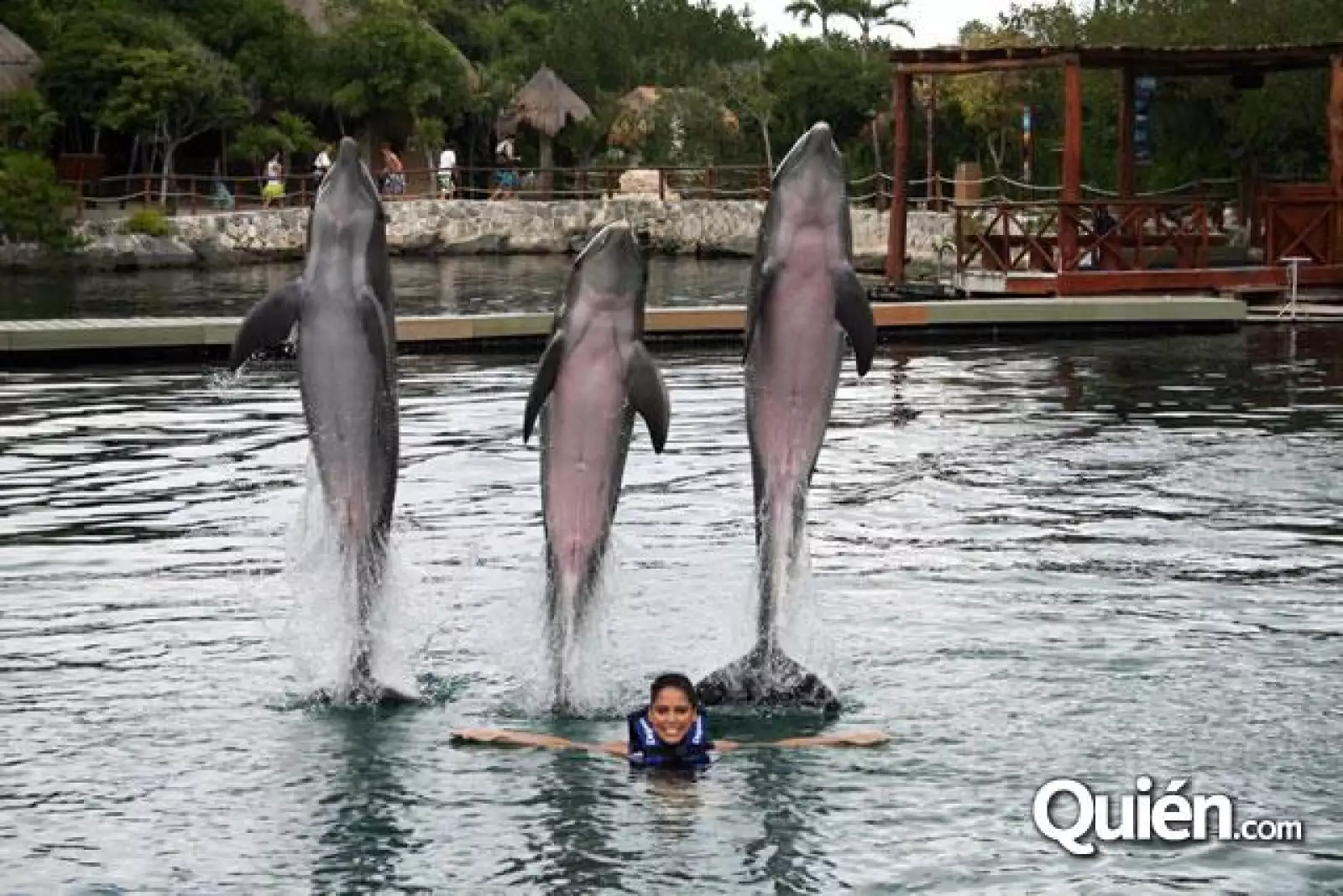 Ana Claudia Talancón rostro Delphinus