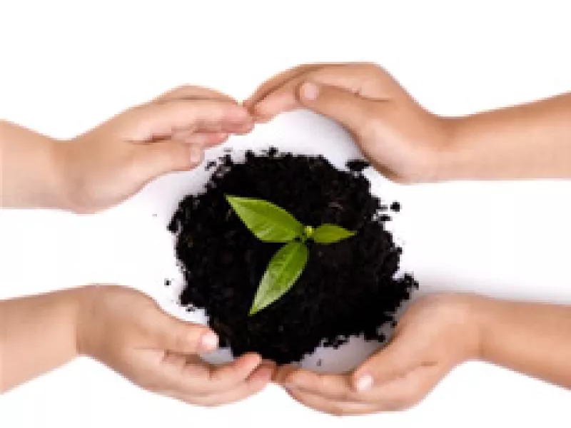 Al cuidar los bosques y ahorrar energía disminuye la emisión de CO2 al medio ambiente. (Foto: Dreamstime)