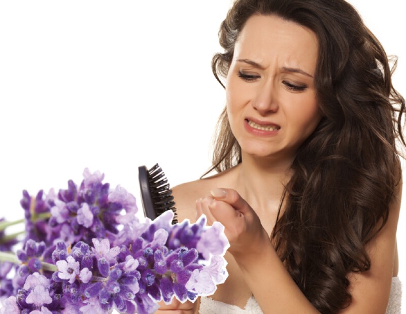 La lavanda puede previr la caída del pelo.