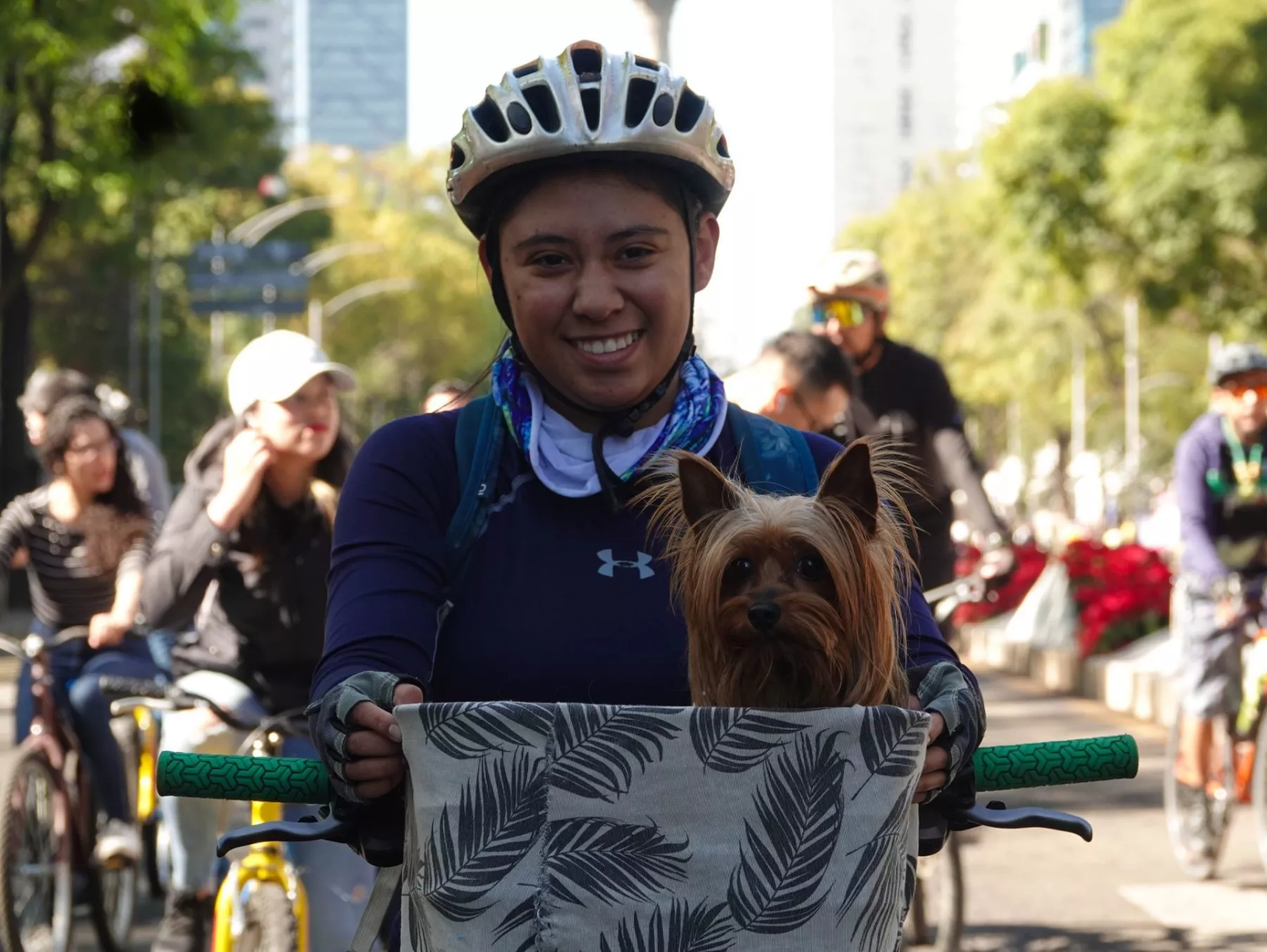 Mascotas Ciudad