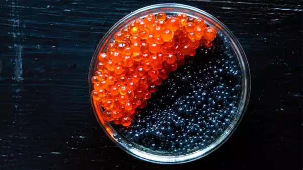 Caviar