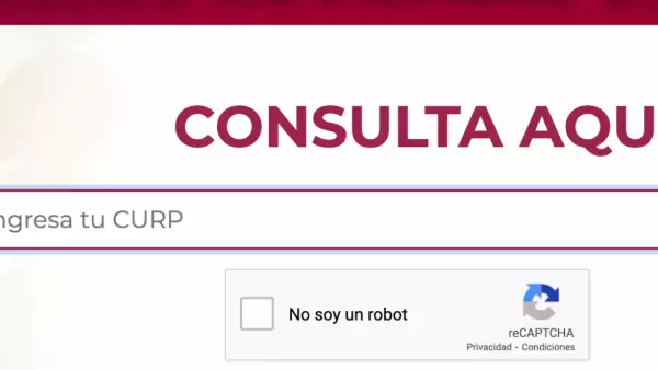 consulta-pago-bienestar-curp.jpg