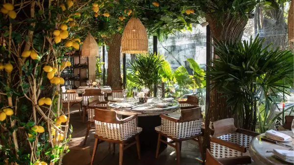 diseño-e-interiorismo-del-restaurante-beluga