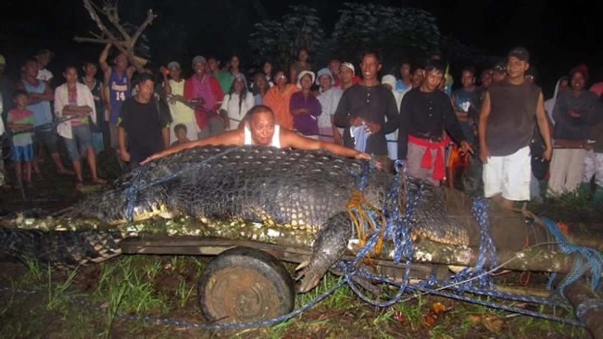 cocodrilo gigante filipinas