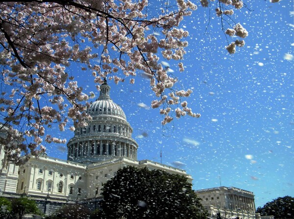 Washington-DC
