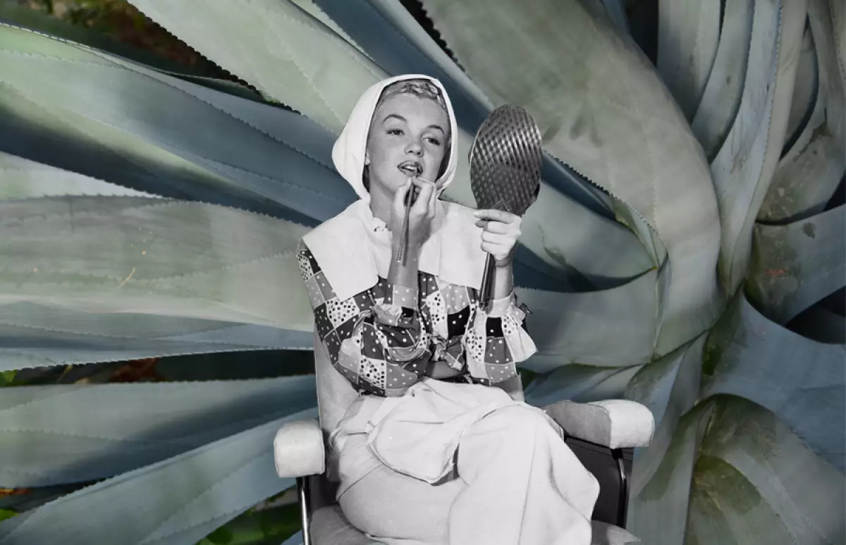 Agave-Spa-Destacada
