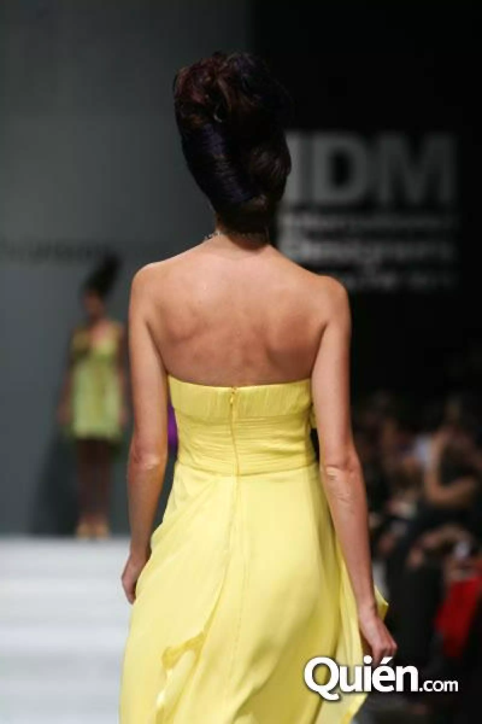 IDM Pasarela Trend Vision
