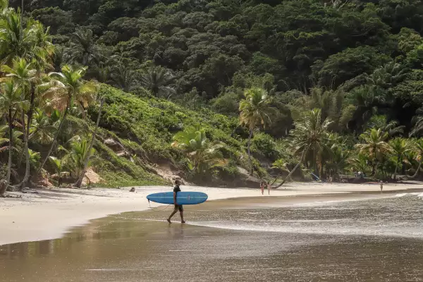 surf barracuda bahia brasil