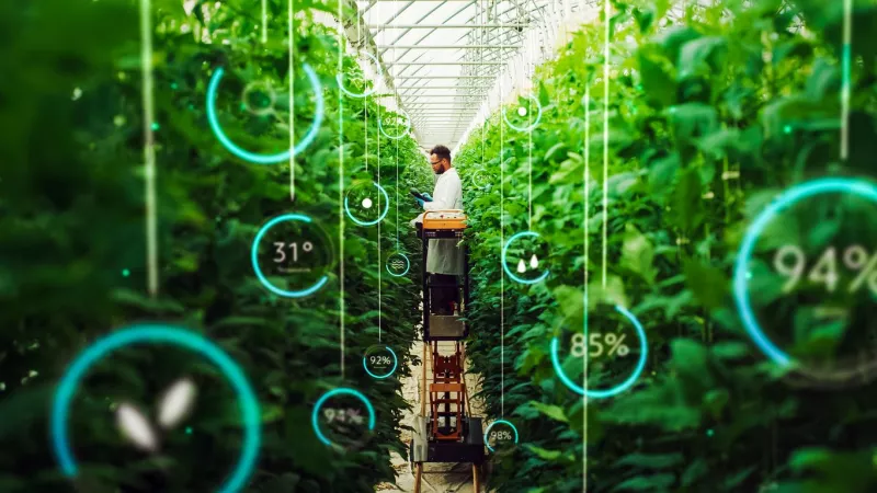 Cómo la Inteligencia Artificial está cultivando nuestros alimentos
