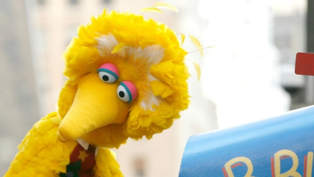 big bird niño con cancer