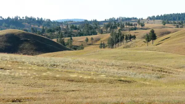 Black Hills, Dakota del Sur