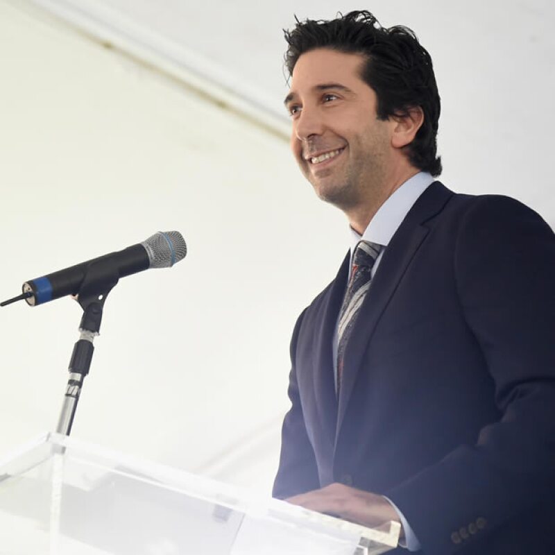 David Schwimmer