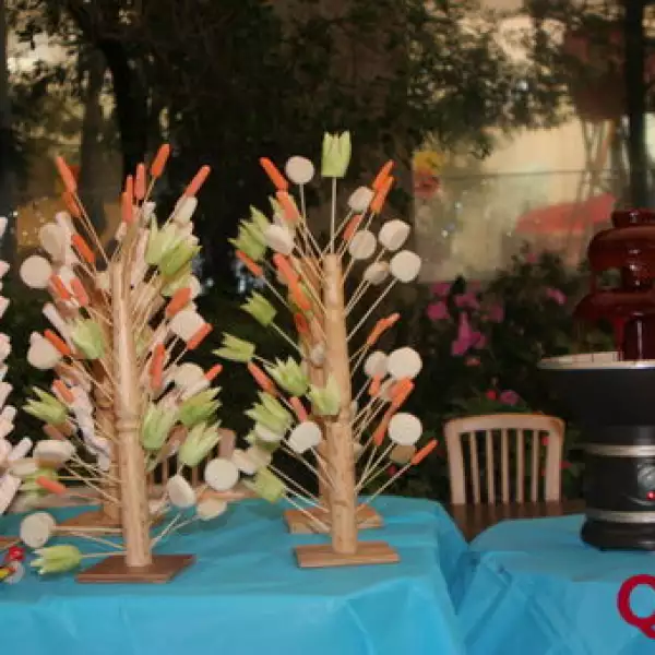 Aspectos. Cumpleaños de Nicolás Peralta