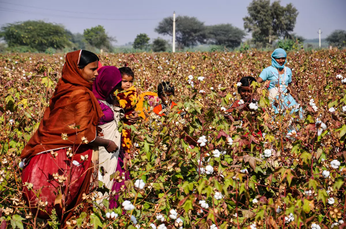 india_mano de obra