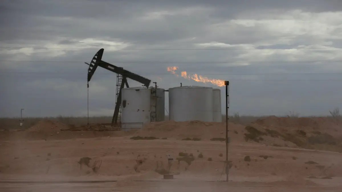 Petroleo