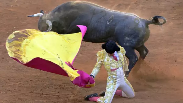  Golpe a la fiesta brava: la reforma a la tauromaquia que divide a empresarios y activistas