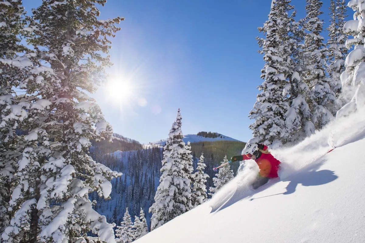 MS_Powder_Skiing_2017_01.jpg.jpg