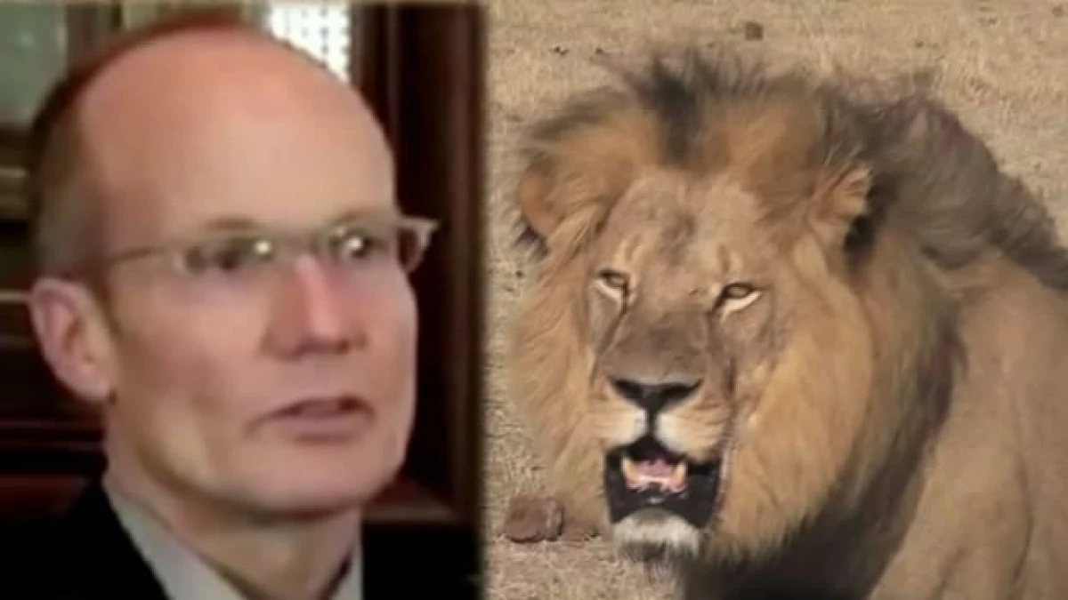 Walter Palmer ha tenido que cerrar momentáneamente su consultorio dental tras haber cazado a un león en Zimbabue
