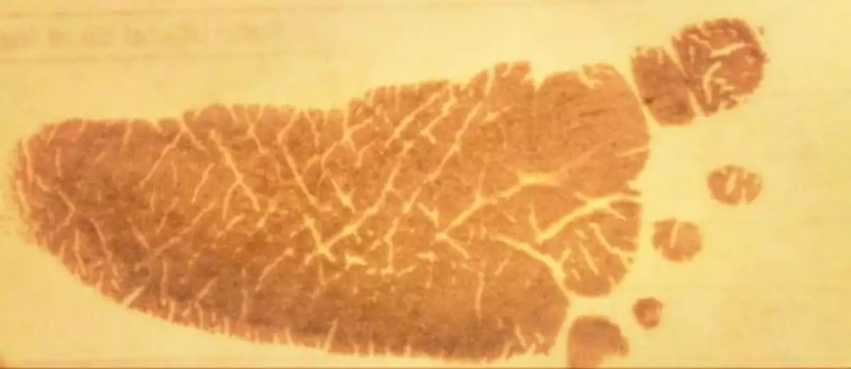 La tierna huellita de recién nacida de la pequeña Marisol Márquez González.