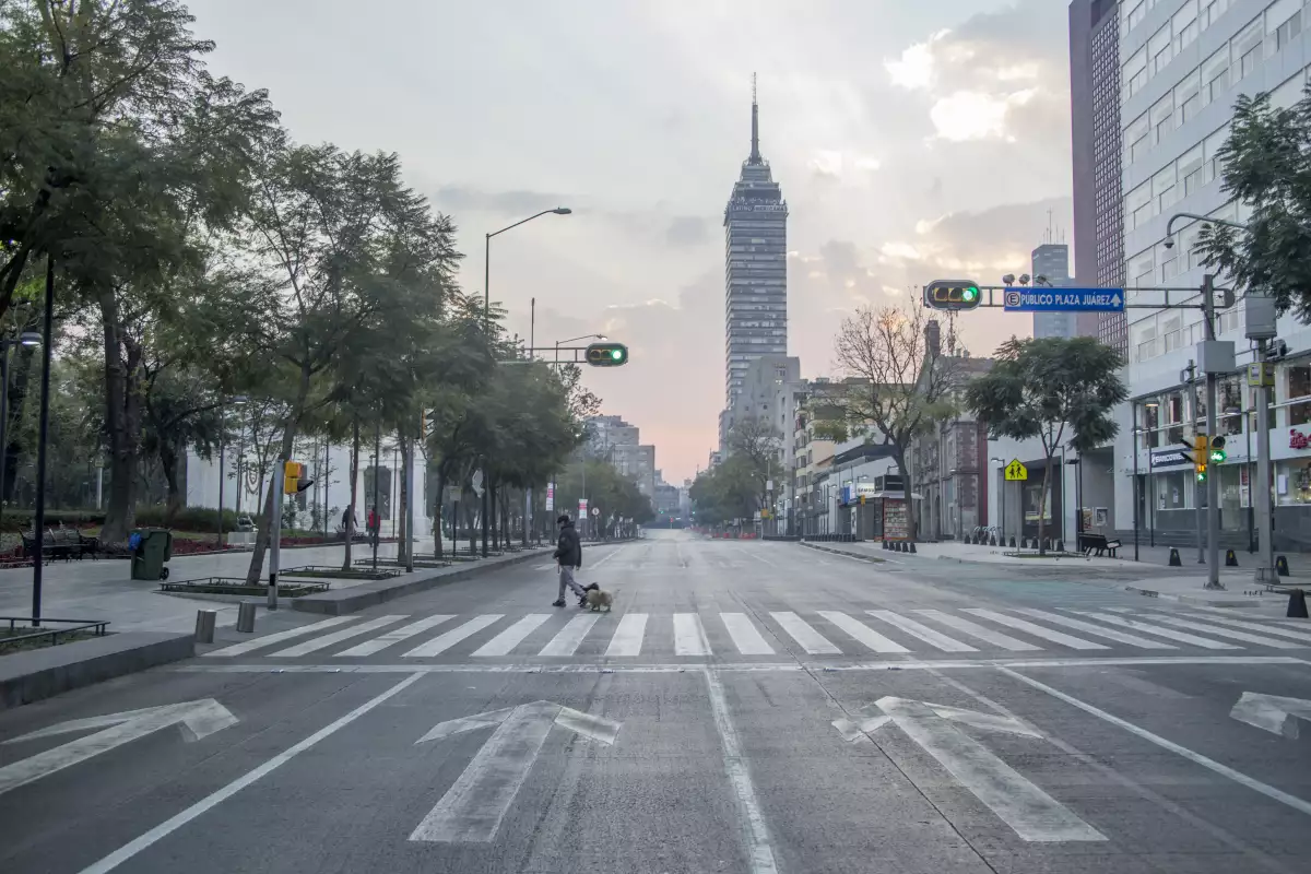 Día Mundial sin Auto