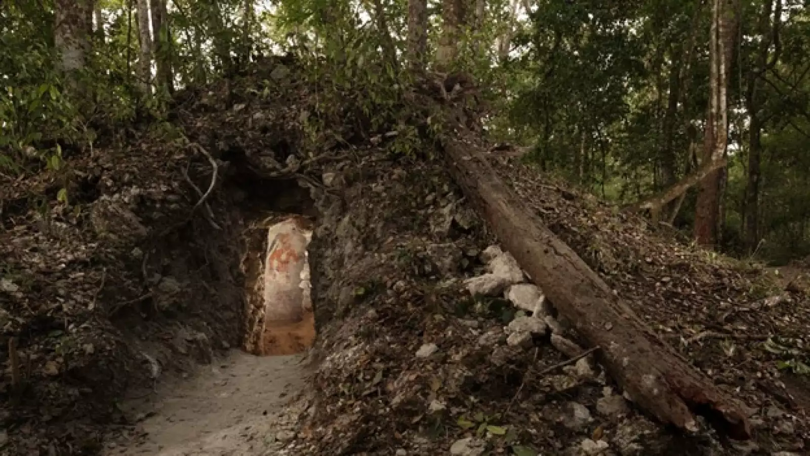 entrada al habitaculo donde esta el calendario maya mas antiguo