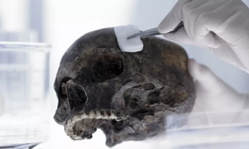 El estudio de un crimen no sólo requiere la perspectiva jurídica y policiaca. (Foto: Getty Images)