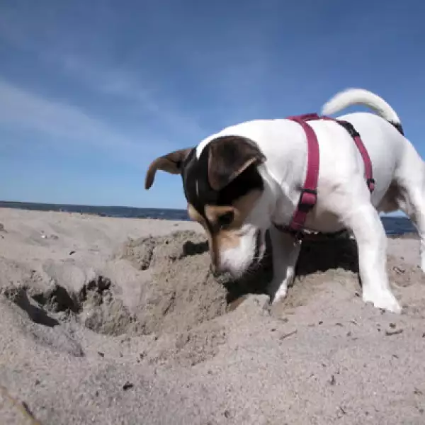 Para mayor información visita www.ritzcarlton.com/cancun