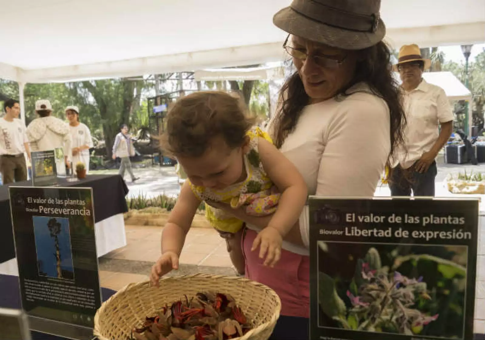 D�a Jard�n Bot�nico UNAM 5