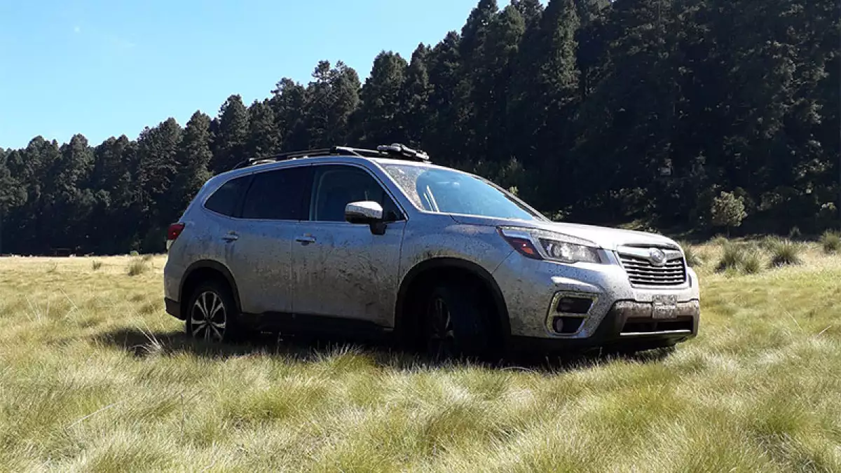 Subaru Forester 2019