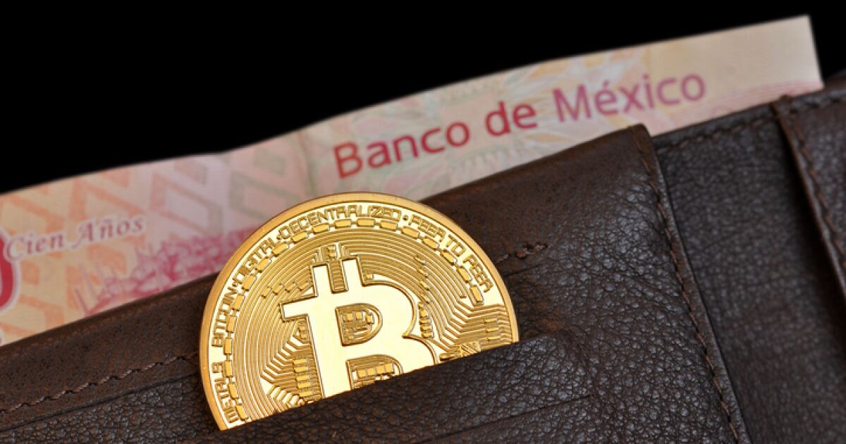 Unicorn Bitso cuts rewards to investors by 50% Unicorn Bitso cuts rewards to investors by 50%