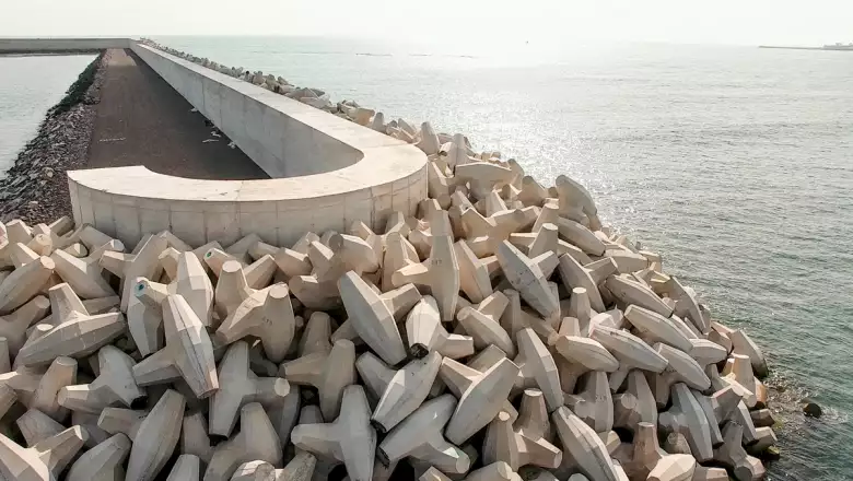 Modernización del Puerto de Veracruz, a detalle