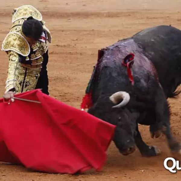 19 corrida de Toros