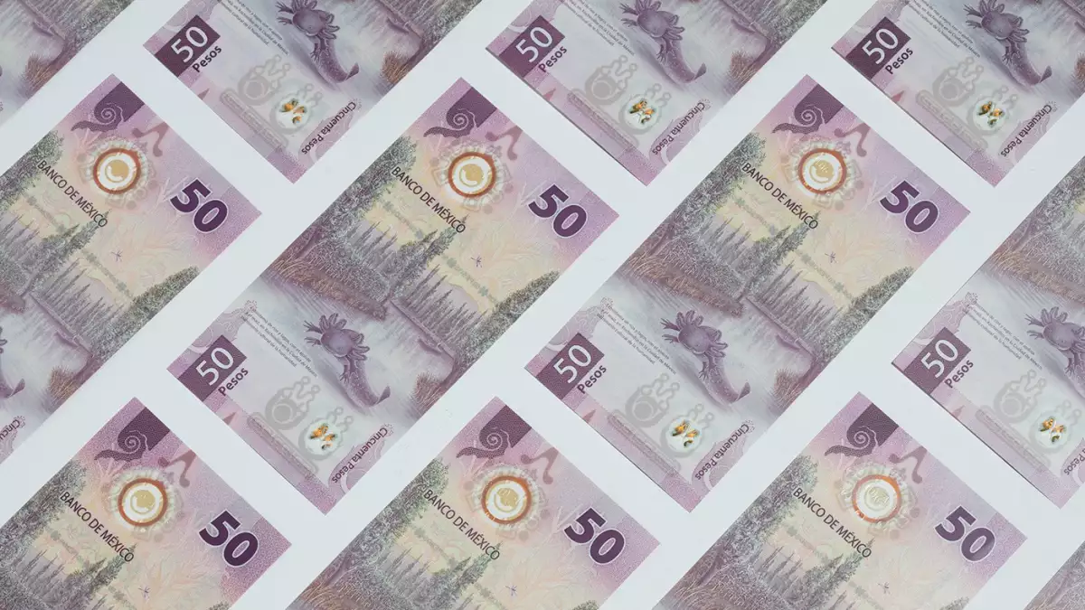 peso dinero